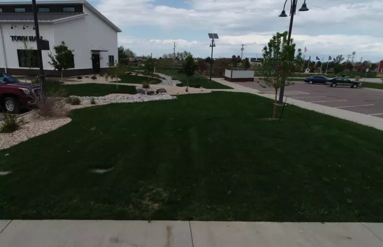 An image of a grassy patch in front of Town Hall that will serve as the location for a new sculpture.
